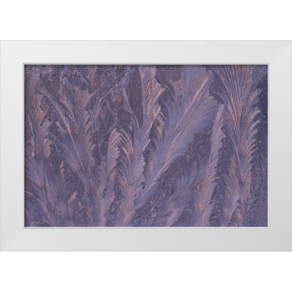 Carlson, Mark 14x11 White Modern Wood Framed Museum Art Print Titled - USA, Michigan, Feathery frost patterns on window