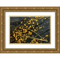 thumbnail image 1 of Carlson, Mark 18x13 Gold Ornate Wood Framed with Double Matting Museum Art Print Titled - MI, White pine needle cluster and jelly fungus, 1 of 4