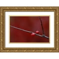 thumbnail image 1 of Carlson, Mark 32x23 Gold Ornate Wood Framed with Double Matting Museum Art Print Titled - MI, Two winterberry holly berries in autumn, 1 of 4