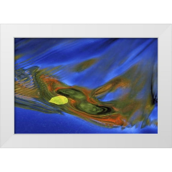 Carlson, Mark 32x23 White Modern Wood Framed Museum Art Print Titled - MI, birch leaf in river current in autumn