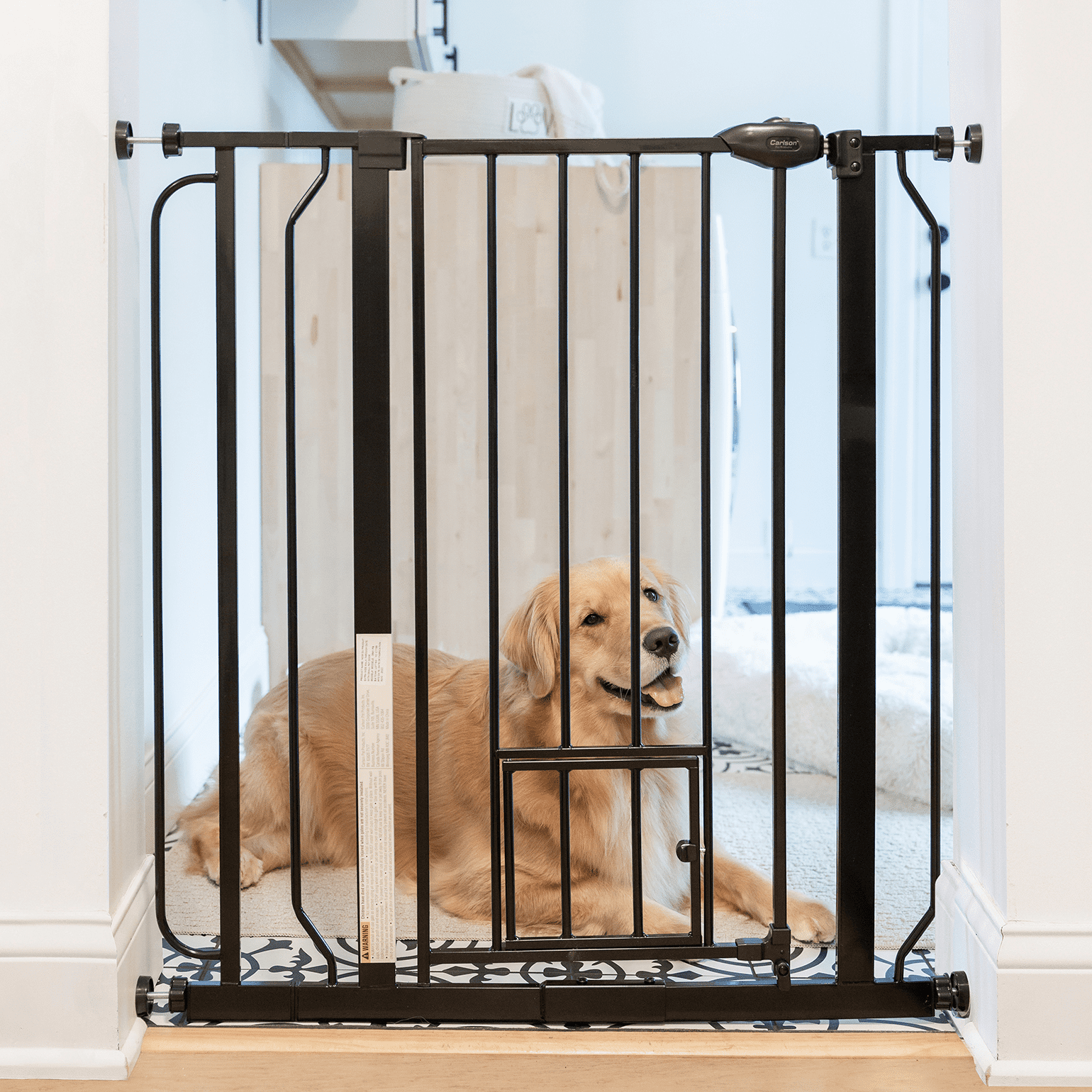Black Extra Tall Metal Pet Gate with Small Door