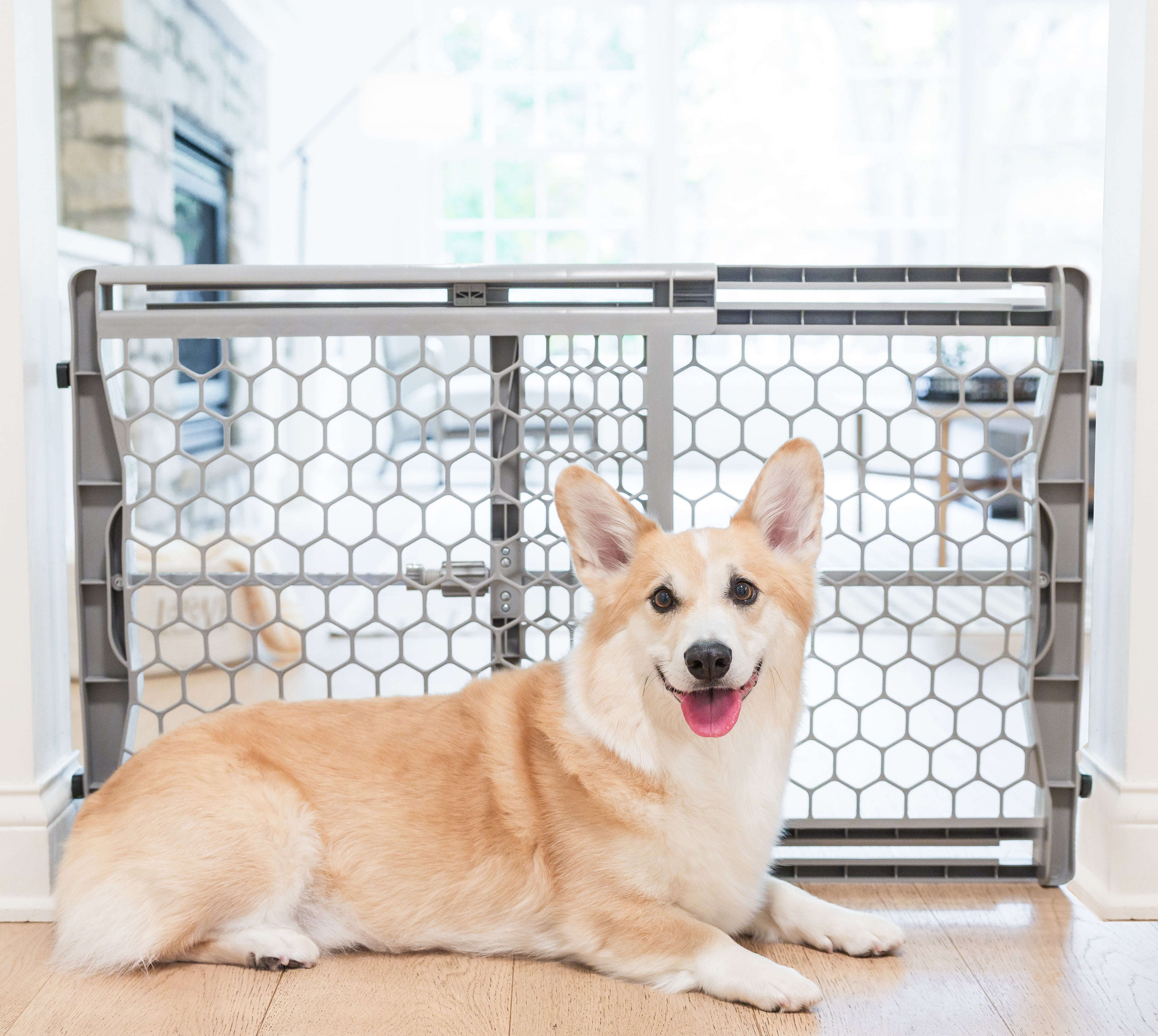 Gray Plastic Expandable Pressure Mounted Pet Gate