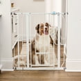 thumbnail image 1 of Carlson Extra Tall Metal Walk Through Pet Gate with Small Pet Door and Extension Kit, 36" H x 29"-36.5" W, 1 of 11