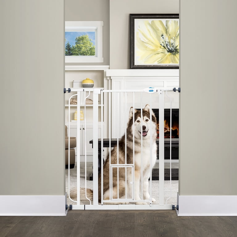 Carlson Extra Tall Walk Through Pet Gate with Small Pet Door and