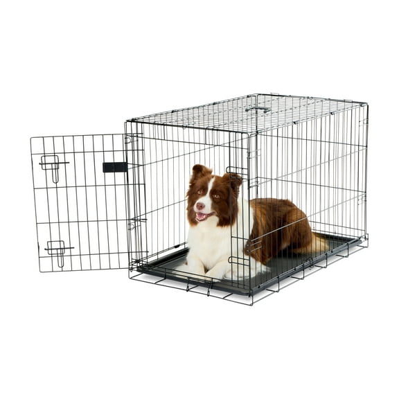 Carlson Pet Products Secure and Foldable Single Door Metal Dog Crate, Black, Intermediate, 36"L x 23"W x 25.5"H