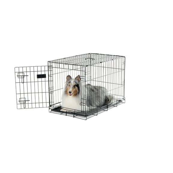 Carlson Secure Foldable Single Door Metal Dog Crate, Medium, Black, 30-Inch