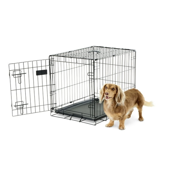 Carlson Secure Foldable Single Door Metal Dog Crate, Small, Black, 24” L