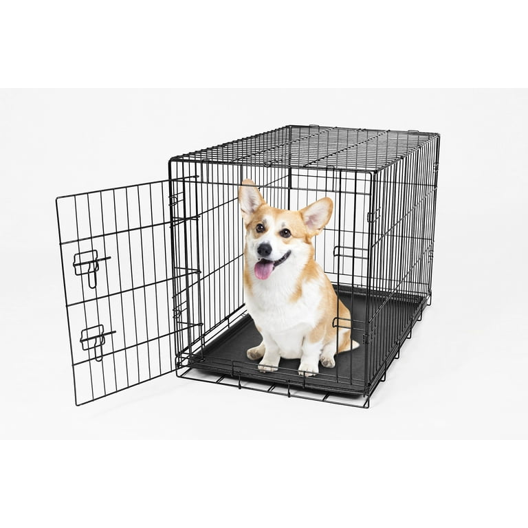 Carlson secure and compact single door metal dog crate cheap
