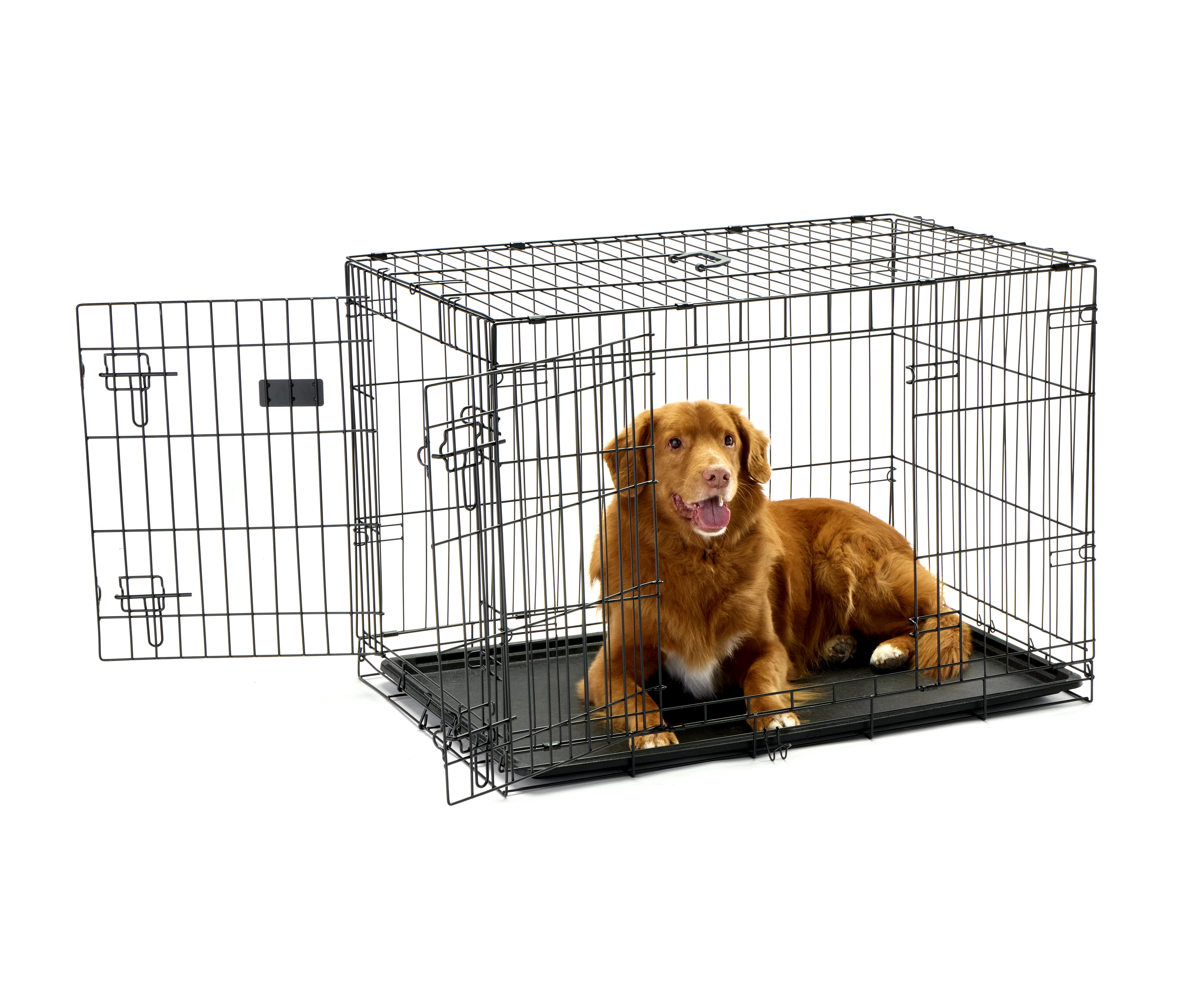 Carlson Pet Products Double Door Wire Crate with Divider, Intermediate, 36" L