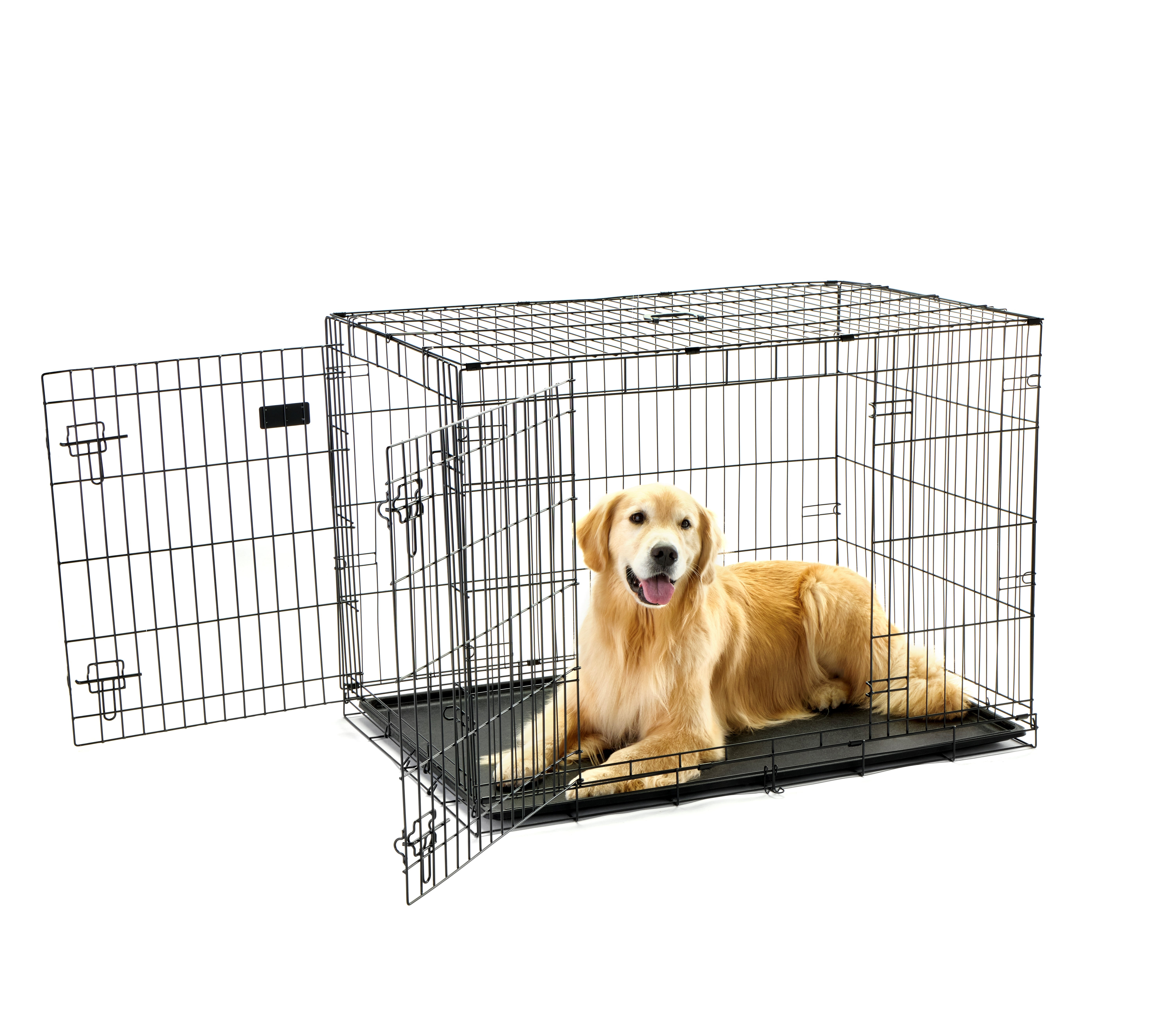 Carlson Pet Products Double Door Wire Crate with Divider, Large 42"