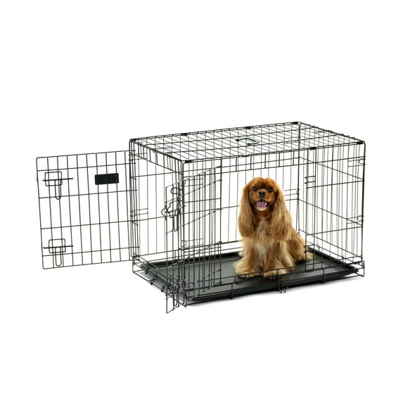 Carlson Secure Compact Double Door Metal Dog Crate, Medium Breeds Up to 45 Pounds, 30"L x 19"W x 22"H, Includes Divider Panel, Black
