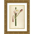 thumbnail image 1 of Carlson, Tina 10x14 Gold Ornate Wood Framed with Double Matting Museum Art Print Titled - Cactus Ambiguus, 1 of 4