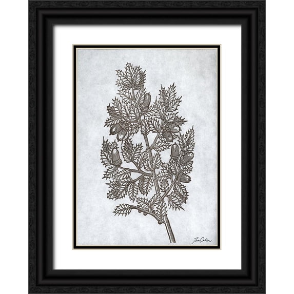 Carlson, Tina 11x14 Black Ornate Wood Framed with Double Matting Museum Art Print Titled - Oak Tree 3