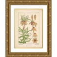 thumbnail image 1 of Carlson, Tina 18x24 Gold Ornate Wood Framed with Double Matting Museum Art Print Titled - Crown Imperial, 1 of 4