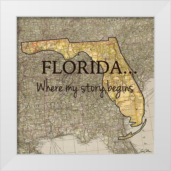 Carlson, Tina 26x26 White Modern Wood Framed Museum Art Print Titled - Story Florida