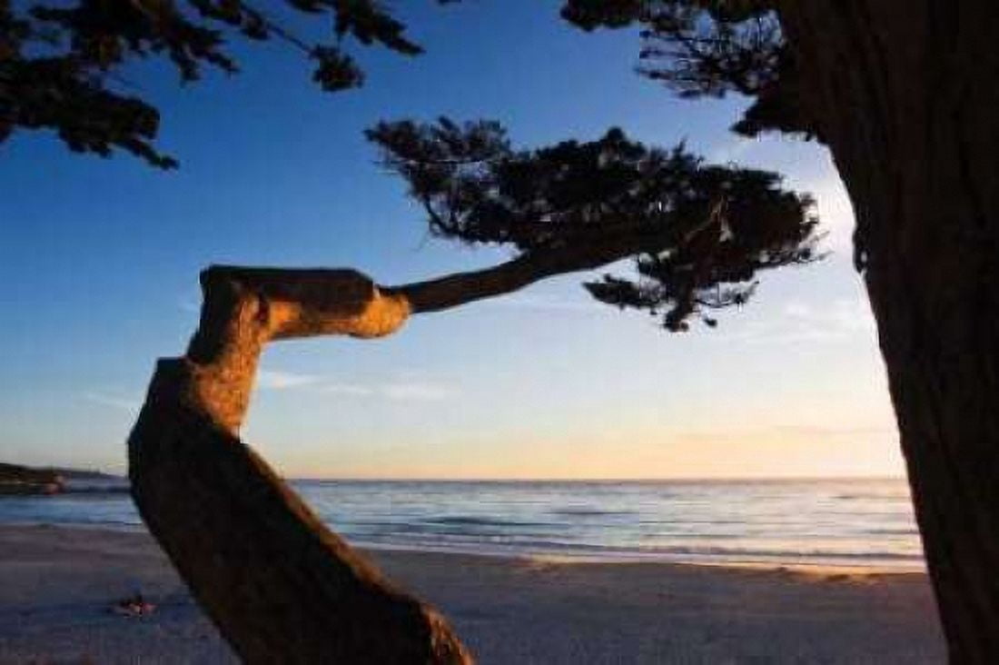 Carmel Sunset I Canvas Art - Alan Hausenflock (24 x 36)