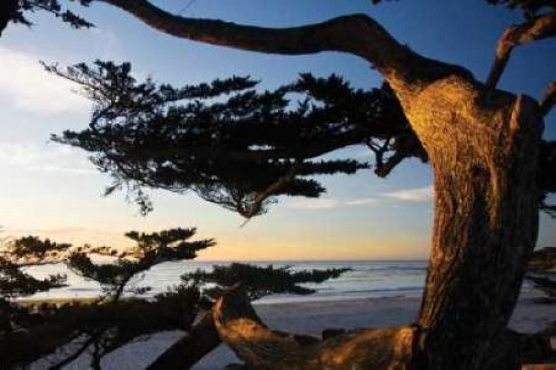 Carmel Sunset II Canvas Art - Alan Hausenflock (12 x 18)