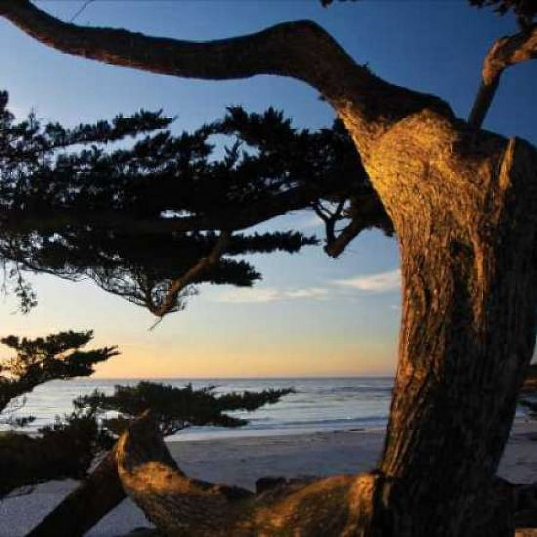 Carmel Sunset II Canvas Art - Alan Hausenflock (24 x 24)