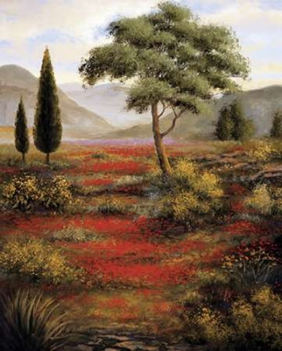 Carmona Canvas Art - Sambataro (24 x 30)