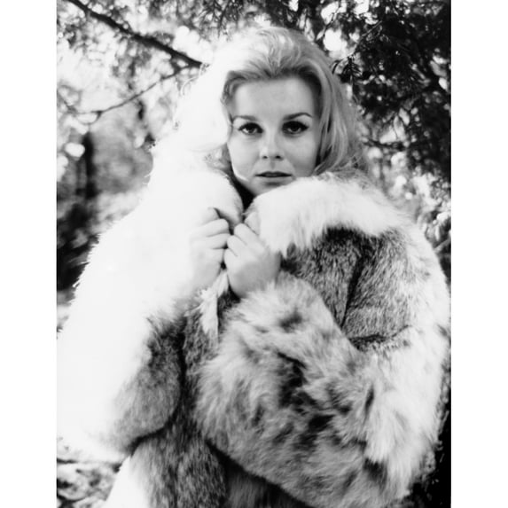 Carnal Knowledge Ann-Margret Portrait 1971 Photo Print (8 x 10)