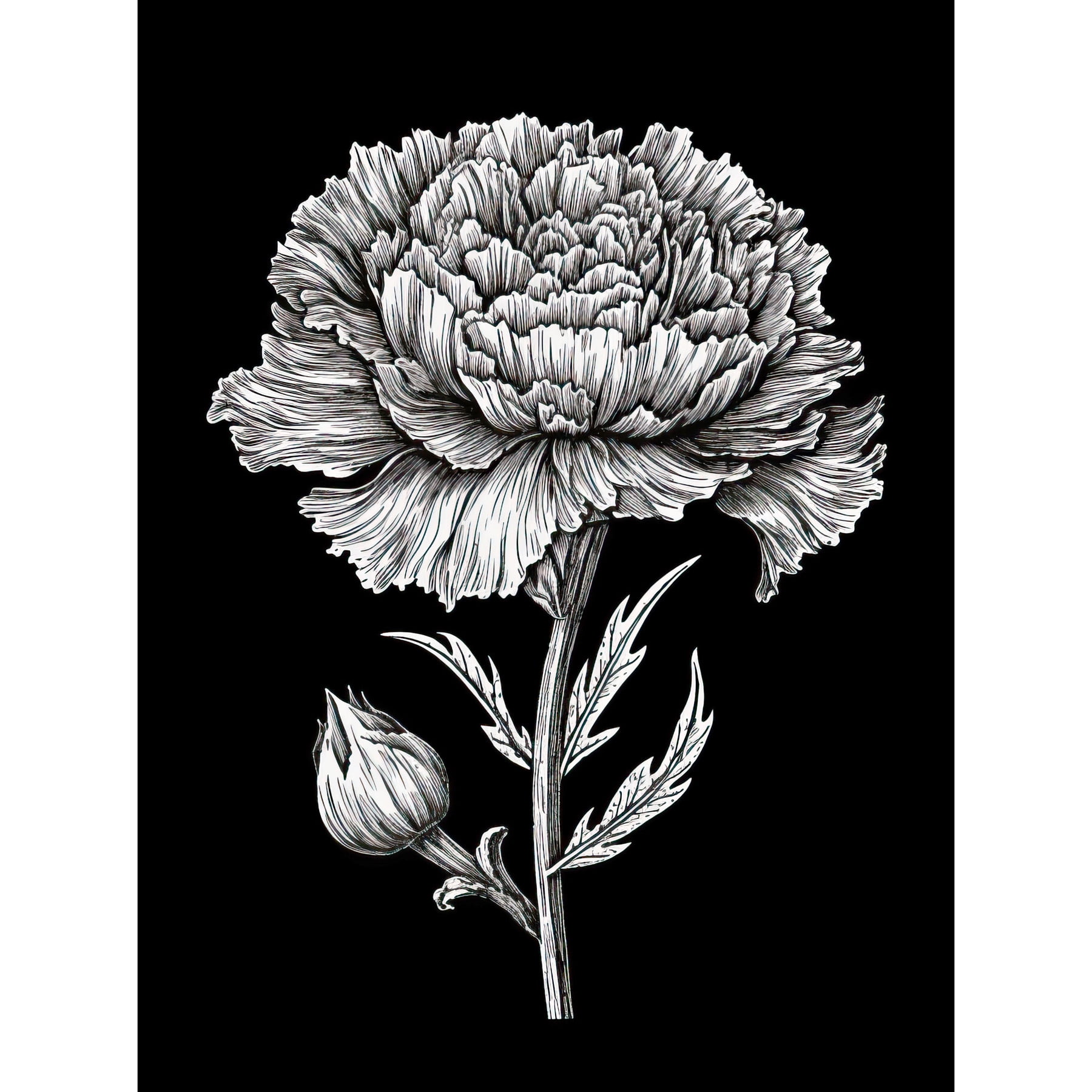 Carnation Flower Black and White Linocut Print Extra Large XL Wall Art  Poster Print - Walmart.com, image size:1800x1800
