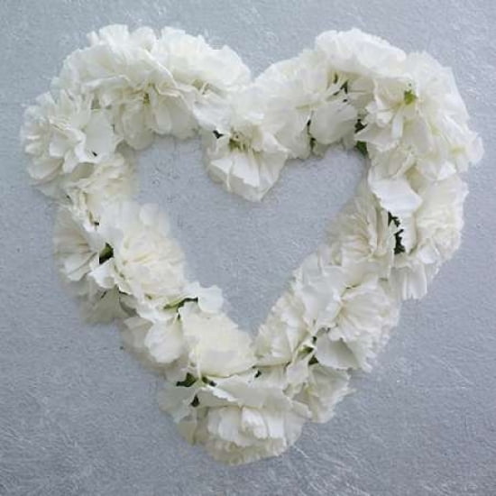 Carnation Heart Canvas Art - Howard Shooter (24 x 24)