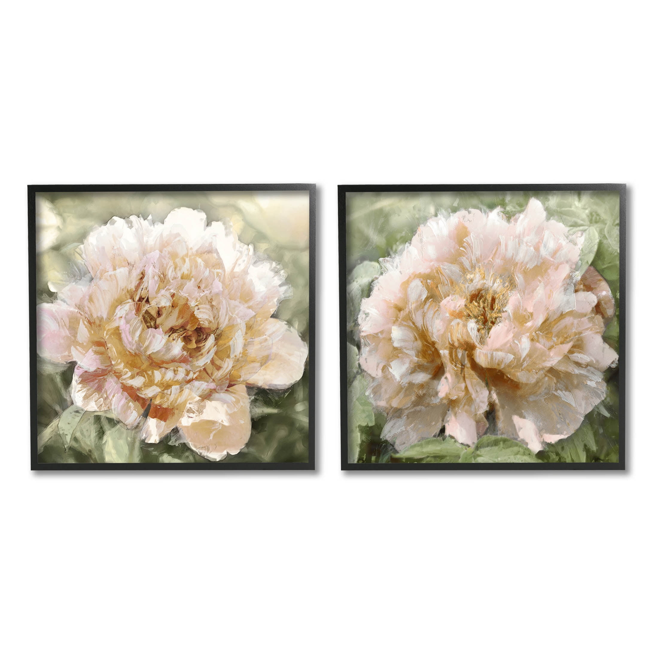 Carnation Plant Blooming Garden Botanical & Floral Graphic Art Black Framed Art Print Wall Art, Set of 2