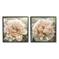thumbnail image 1 of Carnation Plant Blooming Garden Botanical & Floral Graphic Art Black Framed Art Print Wall Art, Set of 2, 1 of 8