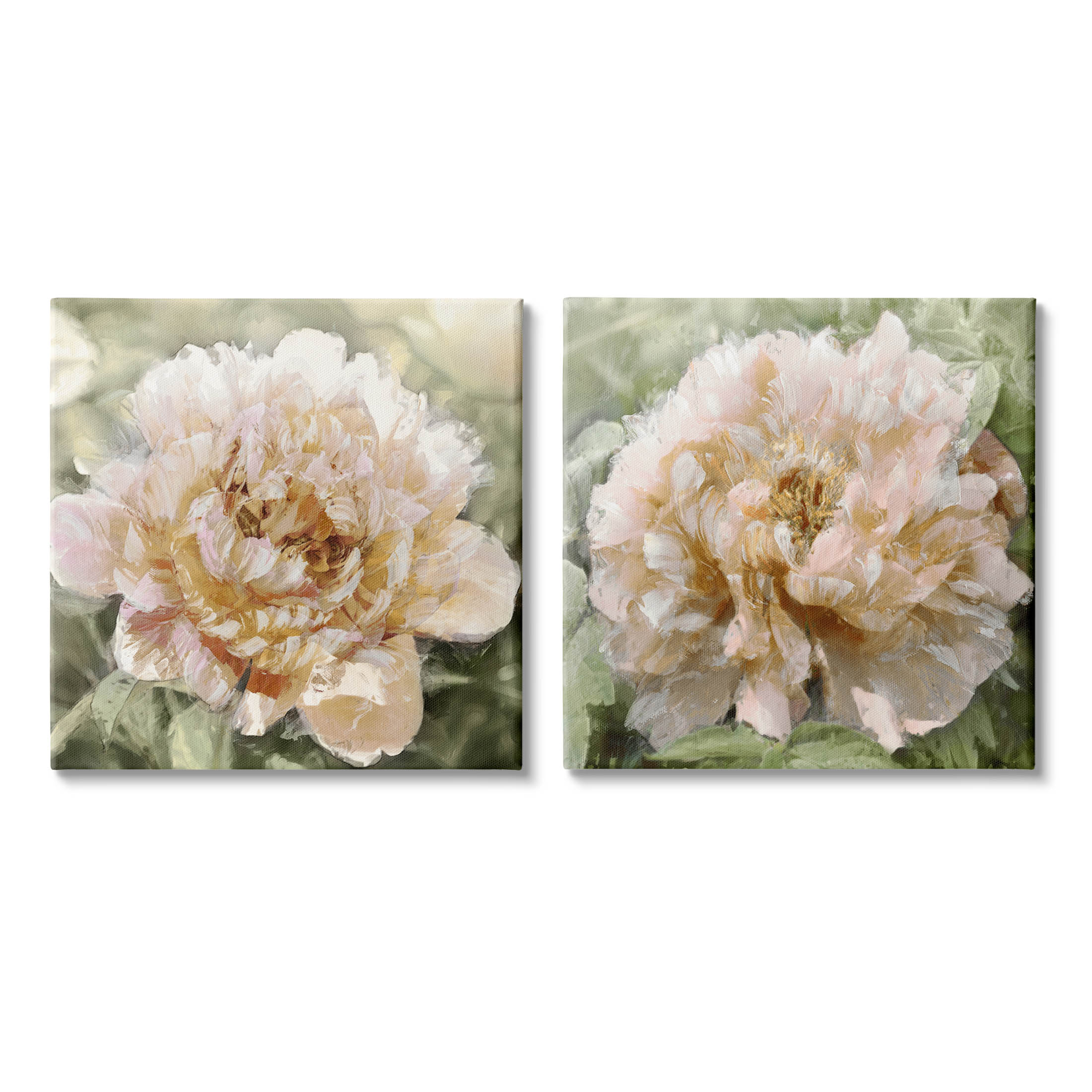 Carnation Plant Blooming Garden Botanical & Floral Graphic Art Gallery Wrapped Canvas Print Wall Art, Set of 2