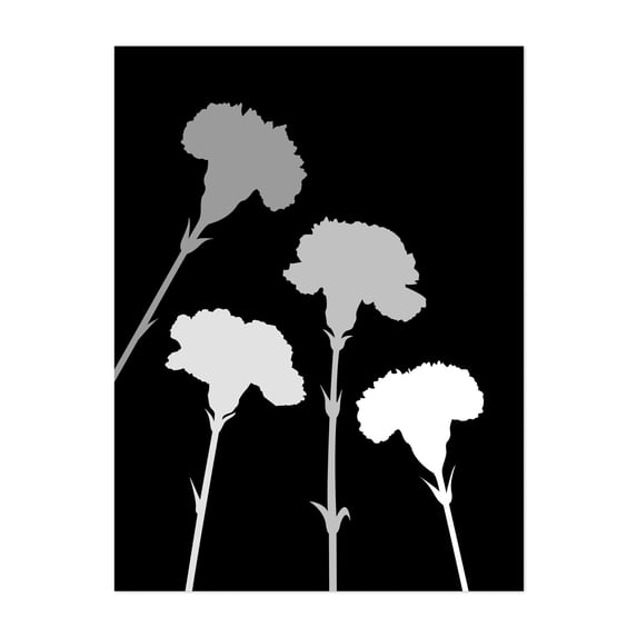 Carnation Silhouettes Monochrome - Digital Art Floral Minimalist Black and White Botanical Flowers Modern Art Abstract Unframed Wall Art Print 36 x 48 inches
