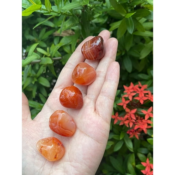 Carnelian Tumbled Stones, 0.75"-1" Tumbled Carnelian