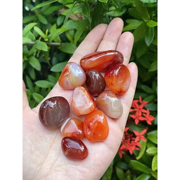 Carnelian Tumbled Stones, Polished Carnelian Gemstone, Carnelian Healing Crystals (Carnelian, 0.5 Pound)