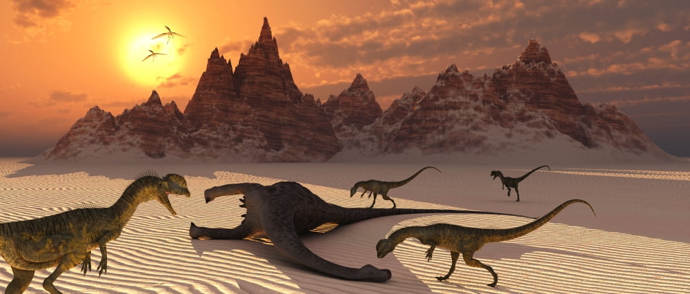 Carniverous Dilophosaurus making a meal of a sauropod carcass Canvas Art - Mark StevensonStocktrek Images (22 x 10)
