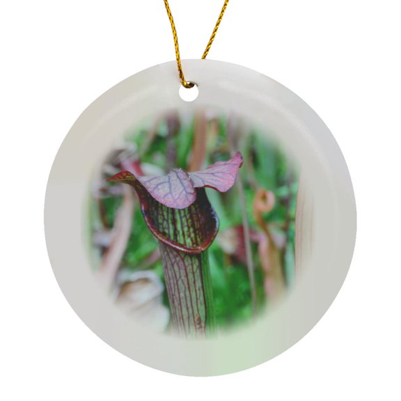 3drose, Carnivore Plant Ready to Pounce, Circle Porcelain Ornament