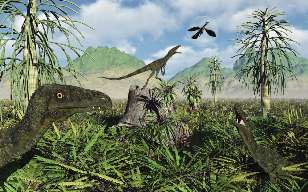 Carnivorous Juravenators hunting during the Jurassic Period of time Canvas Art - Mark StevensonStocktrek Images (18 x 12)