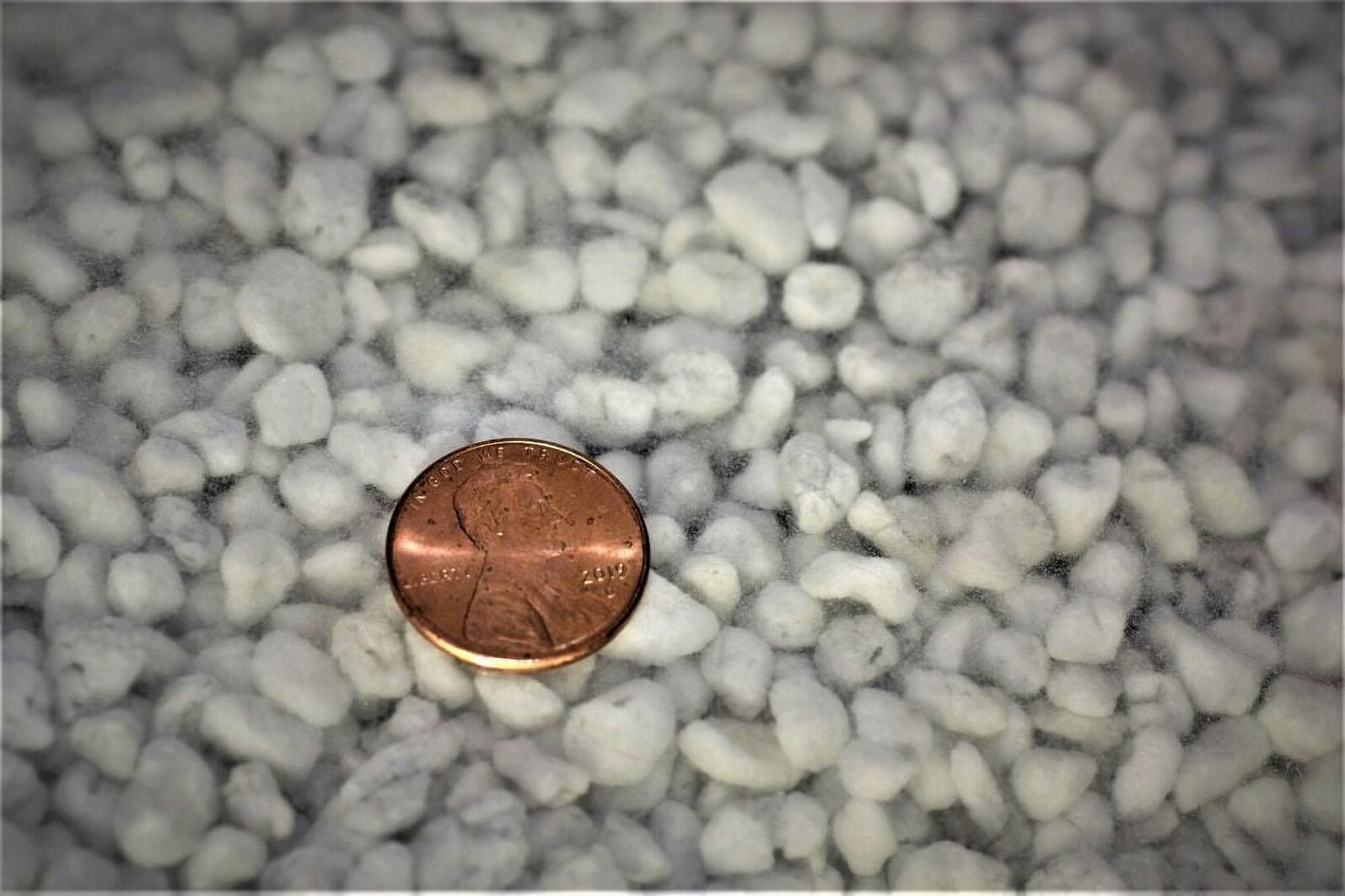 Carnivorous Plant Soil Mix Venus Fly Trap, Pitcher, Butterworts, Sundews