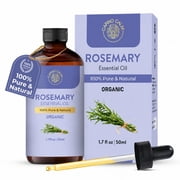 Carno Calm Rosemary Essential Oil | 100% Pure Natural Rosemary Oil for Hair & Skin | Herbaceous Aroma for Diffuser & Aromatherapy | 1.7 fl Oz