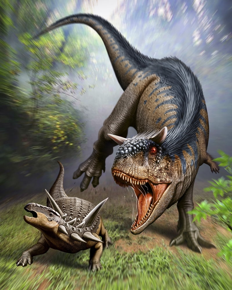 Carnotaurus attacking an Antarctopelta armored dinosaur Canvas Art - Mohamad HaghaniStocktrek Images (13 x 16)