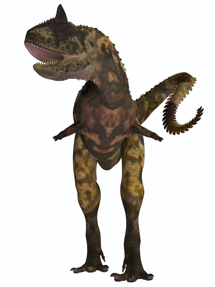 Carnotaurus dinosaur Canvas Art - Corey FordStocktrek Images (13 x 17)