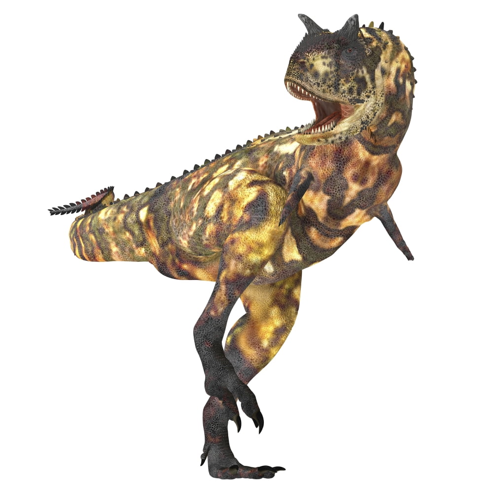 Carnotaurus dinosaur Canvas Art - Corey FordStocktrek Images (28 x 28)