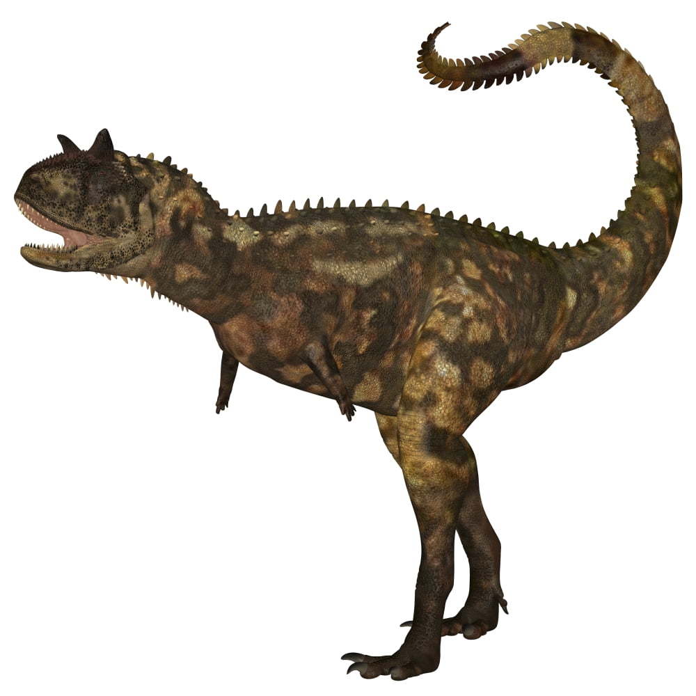 Carnotaurus dinosaur Canvas Art - Corey FordStocktrek Images (29 x 29)