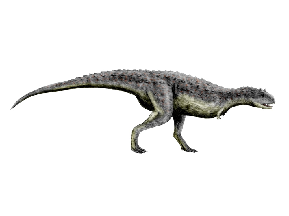 Carnotaurus dinosaur Canvas Art - Nobumichi TamuraStocktrek Images (33 x 25)