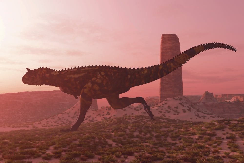 Carnotaurus running in the early morning light on desert terrain Canvas Art - Corey FordStocktrek Images (18 x 12)