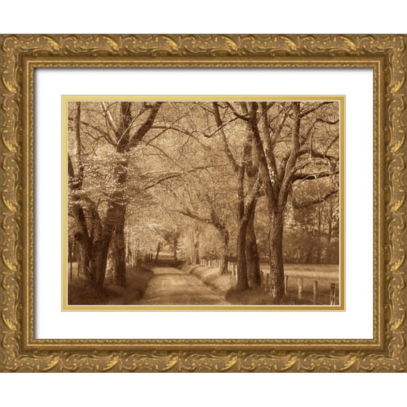 Caro, Wendy 14x12 Gold Ornate Wood Framed with Double Matting Museum Art Print Titled - Smokies Road