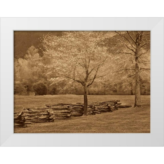 Caro, Wendy 14x12 White Modern Wood Framed Museum Art Print Titled - Smokies Fence