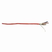 Carol Data Cable,Riser,4 Wire,Red,1000ft E3604S.41.03