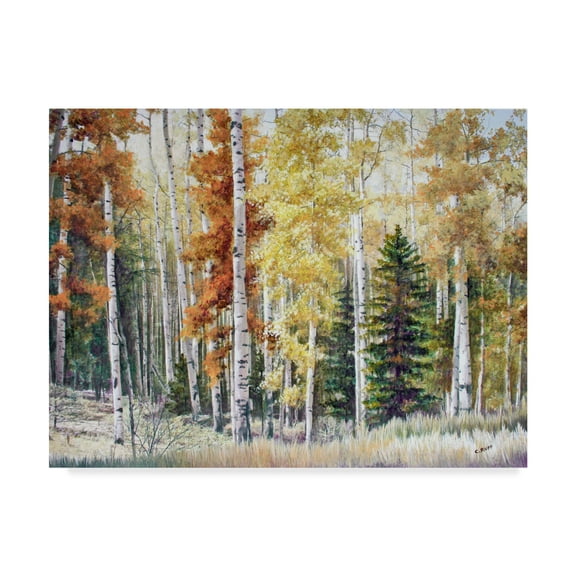Carol J Rupp 'Angel Fire Aspens' Canvas Art
