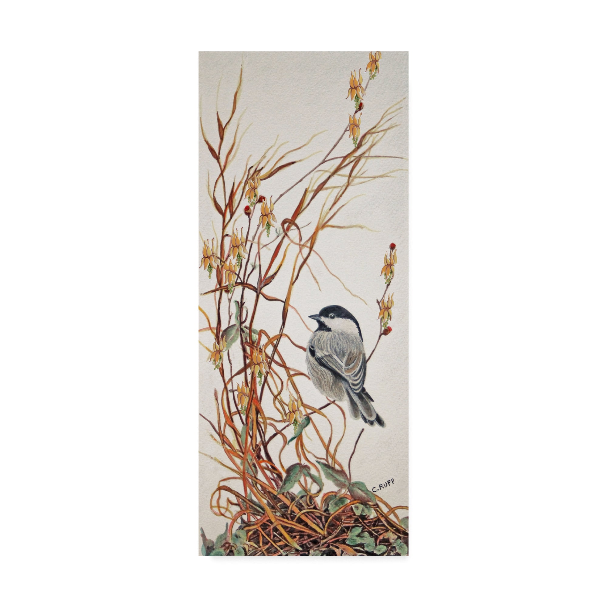 Carol J Rupp 'Chickadee In Summer Grass' Canvas Art