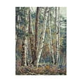 thumbnail image 1 of Carol J Rupp 'Grace & Maturity' Canvas Art, 1 of 4