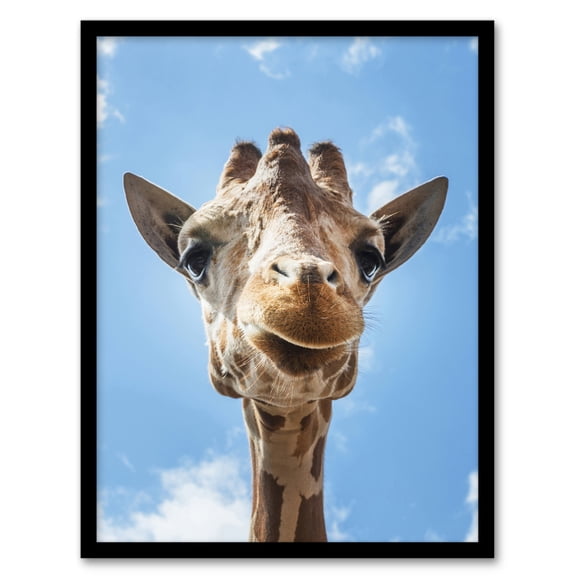 Carol M Highsmith Giraffe Head Up Close Look Framed Wall Art Picture Print A4